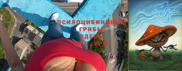 не бодяженный Белокуриха