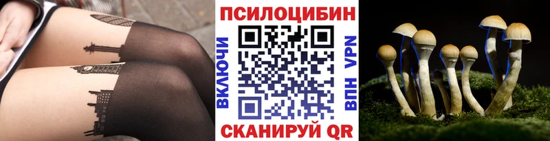 закладка  omg   Галлюциногенные грибы мухоморы  Волосово 