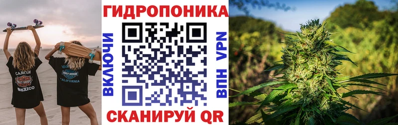 Канабис LSD WEED  где купить наркоту  Волосово 